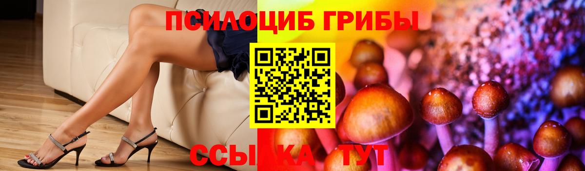 Псилоцибиновые грибы GOLDEN TEACHER Домодедово
